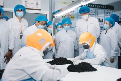 傳承技藝，創(chuàng)新工業(yè) 混沌大學(xué)創(chuàng)新商學(xué)院黃山尋味現(xiàn)代派小罐茶