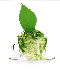 品味臺(tái)灣清新 四兩綠茶飲產(chǎn)品與店鋪視覺(jué)之美